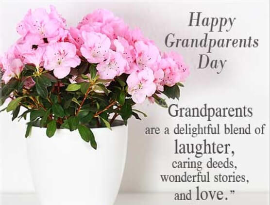 Poems About Grandparents Love