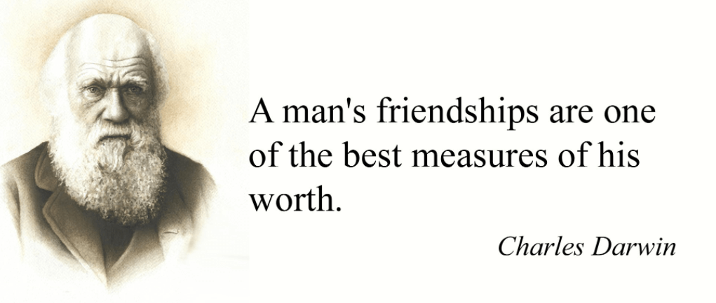 Friendship Quotes Best Measure