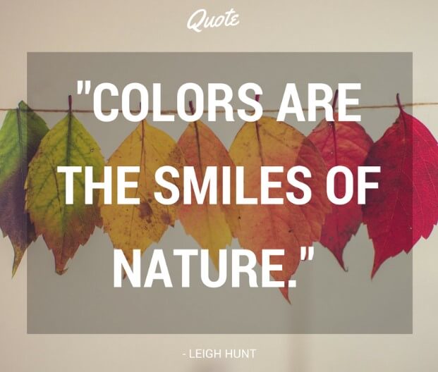 Smiles And Eyes Quotes