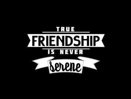 True Friends Quote