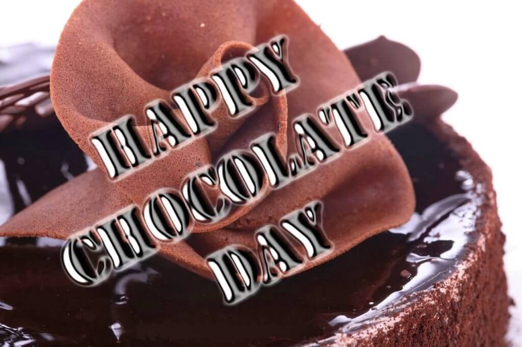 Chocolate Cake Day Quotes Sayings