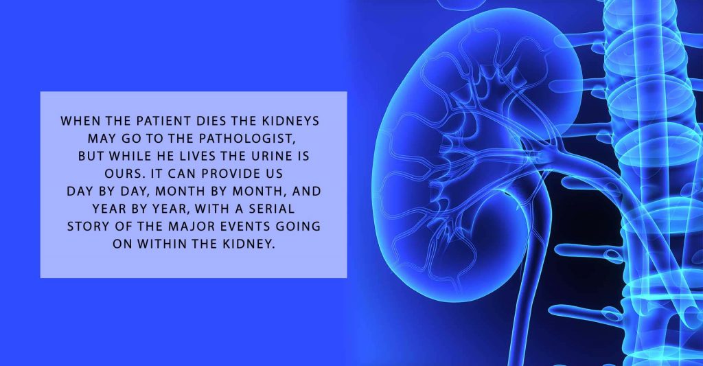 40 Best World Kidney Day Quotes and Sayings 2022 Events Yard